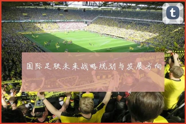 国际足联未来战略规划与发展方向